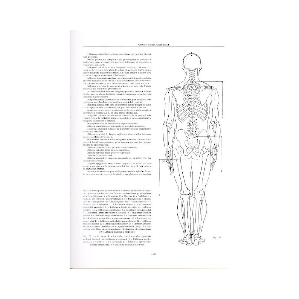 Anatomia Artistica Vol I Constructia Corpului Colorit