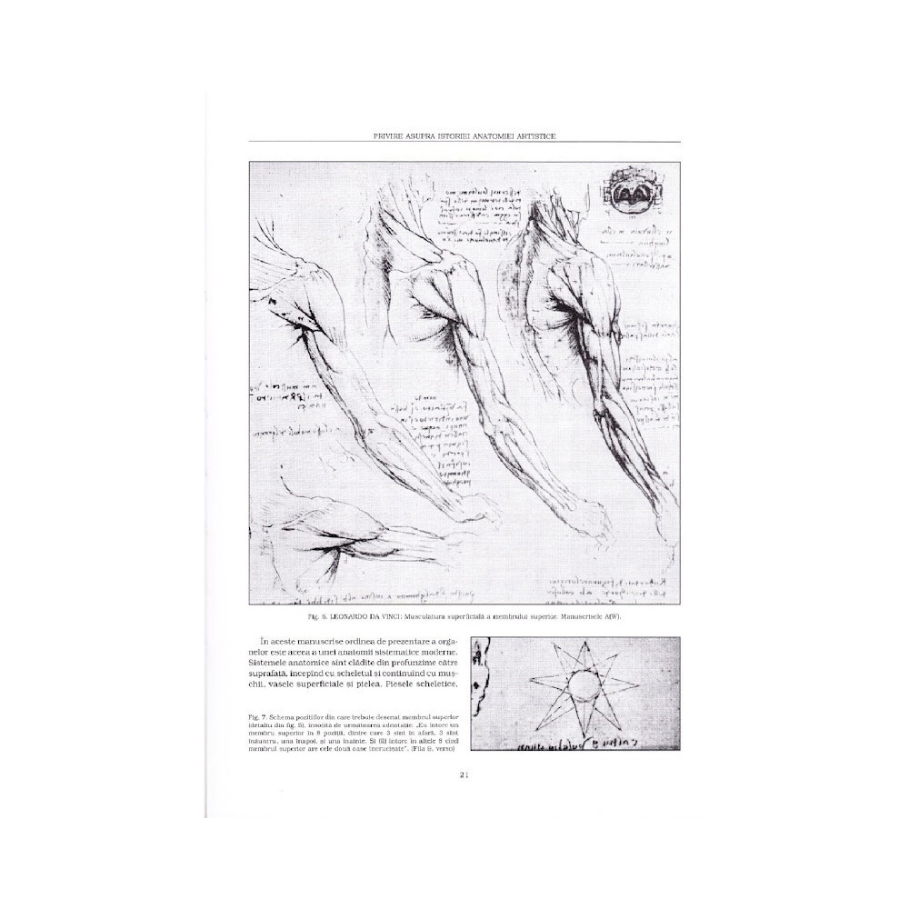 Anatomia Artistica Vol I Constructia Corpului Colorit